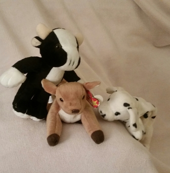 This image has an empty alt attribute; its file name is 20190623_183859-1-1.jpg